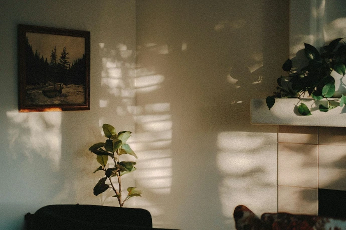 intérieur chaleureux